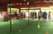 Eventos de empresa, teambuilding, formación, coaching, incentivos