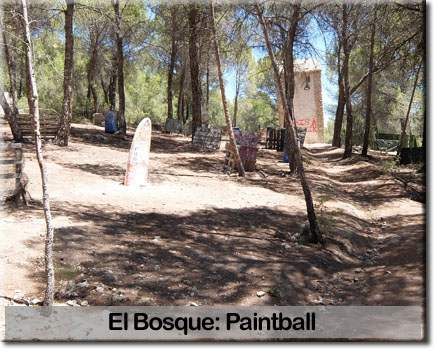 Team building para empresas  