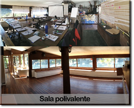 Team building para empresas 